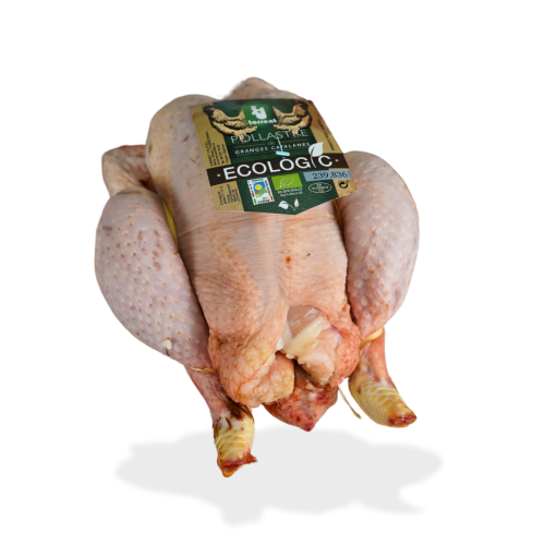 Pollo ecológico (Cataluña) - Imagen 2