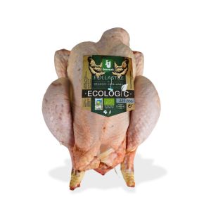Pollo ecológico (Cataluña)