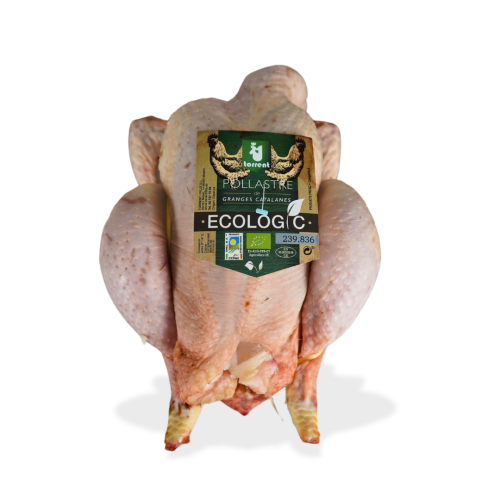 Pollo ecológico (Cataluña)